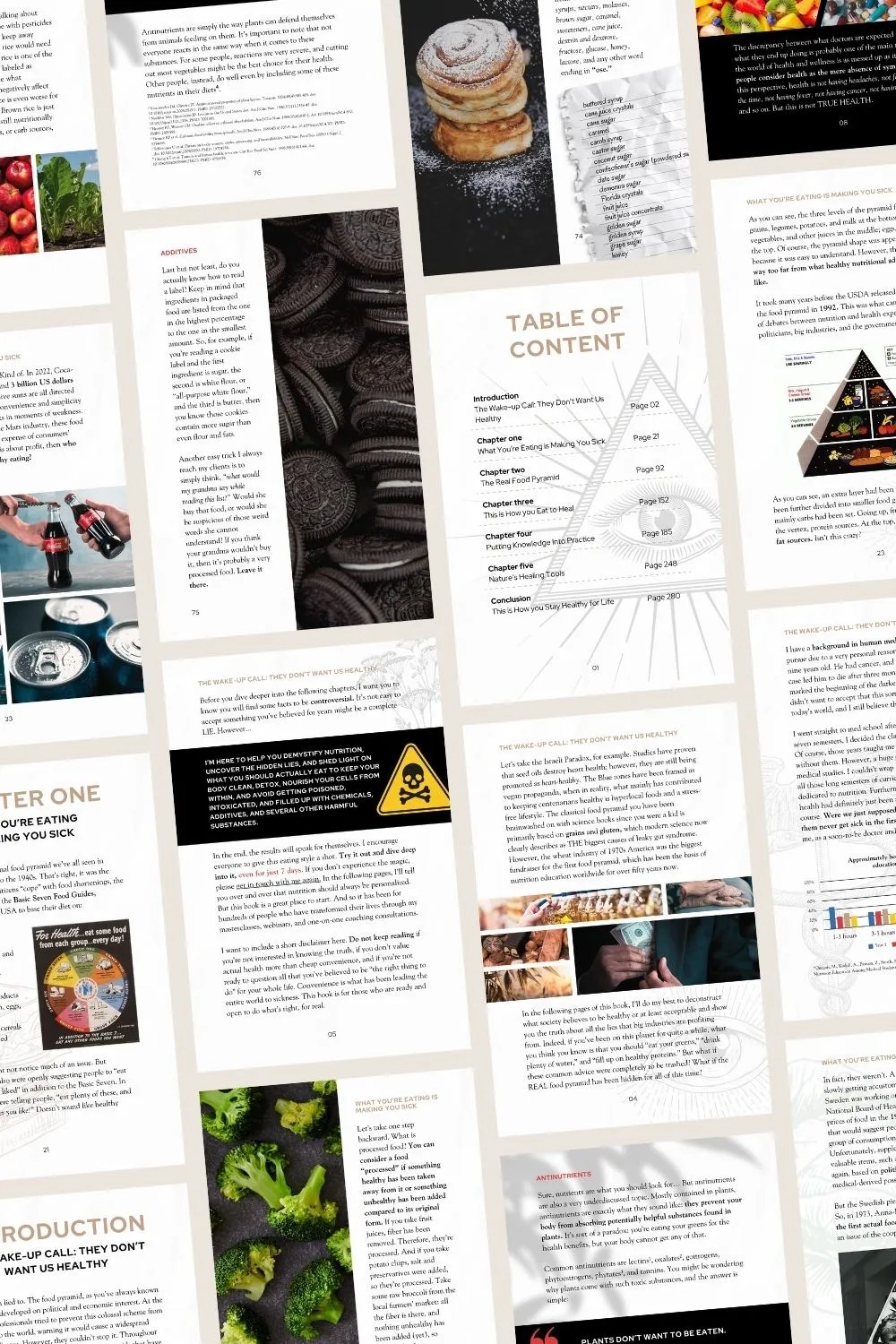 Canva design for an eBook.